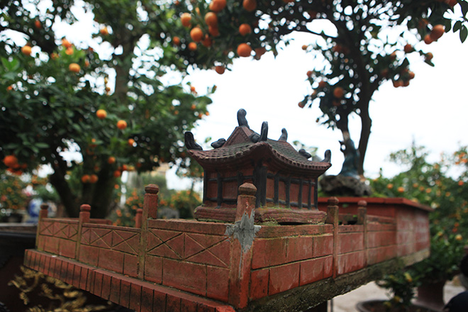 Đẹp mê hồn, quất tiểu cảnh cây đa giếng nước sân đình